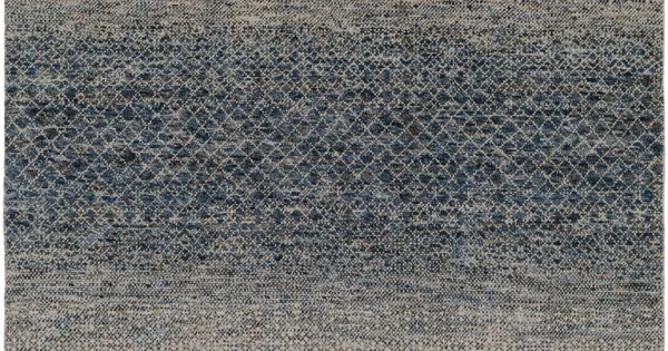 Surya Bethesda BTD2302 Dark Blue Denim Area Rug 6 ft. X 9 ft. Rectangle