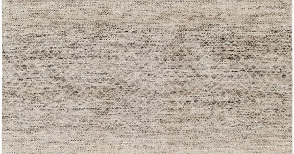 Surya Bethesda BTD2303 Charcoal Medium Gray Area Rug 10 ft. X 14 ft. Rectangle