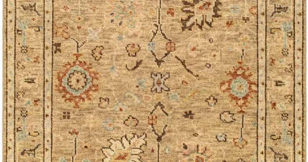 Surya Biscayne BSY2314 Tan Dark Brown Area Rug 4 ft. X 6 ft. Rectangle