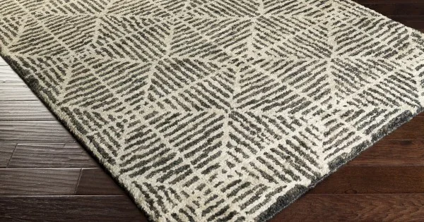 Surya Bjorn BJR1004 Black Khaki Area Rug 5 ft. X 8 ft. Rectangle