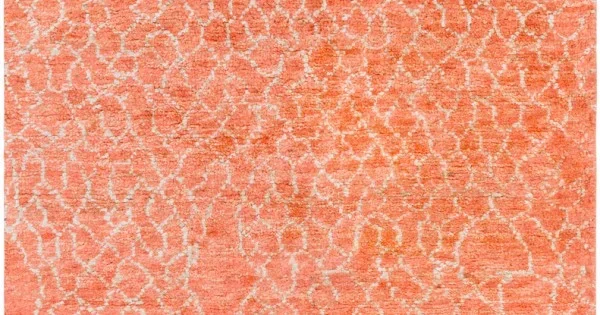 Surya Bjorn BJR1009 Red Oatmeal Area Rug 5 ft. X 8 ft. Rectangle