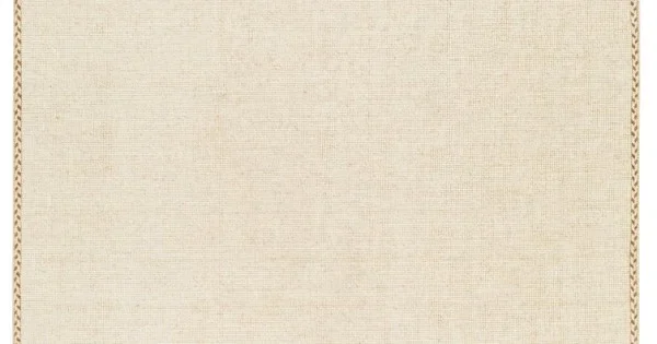Surya Bushra BUS2300 Tan Beige Area Rug 2 ft. X 3 ft. Rectangle