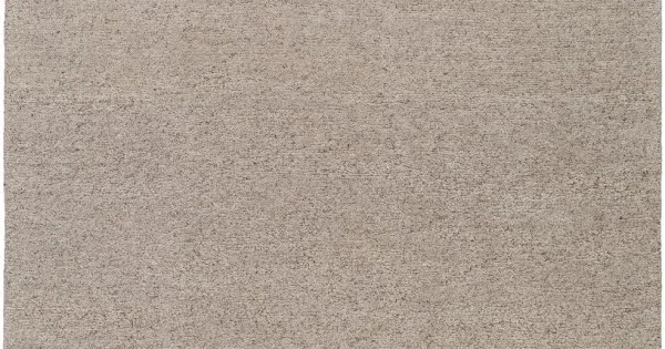 Surya Lavish LVS2302 Gray Light Gray Area Rug 6 ft. X 9 ft. Rectangle