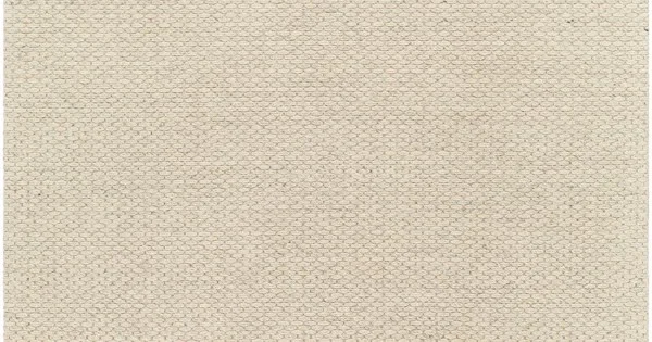 Surya Lumi LUM2303 Cream Light Gray Area Rug 5 ft. X 7 ft. 6 in. Rectangle