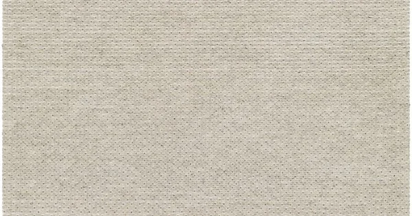 Surya Lumi LUM2304 Cream Medium Gray Area Rug 2 ft. X 3 ft. Rectangle