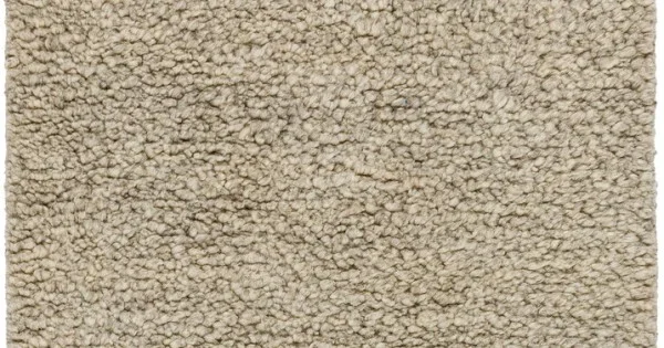 Surya Mabel MAB2301 Taupe Sage Area Rug 2 ft. X 3 ft. Rectangle