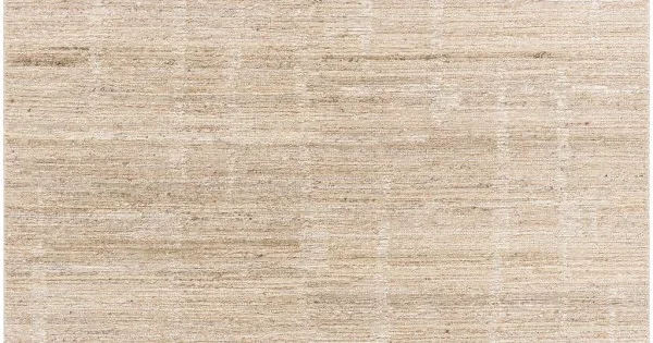 Surya Moab BOMB-2302 6′ x 9′ Rectangle Rug
