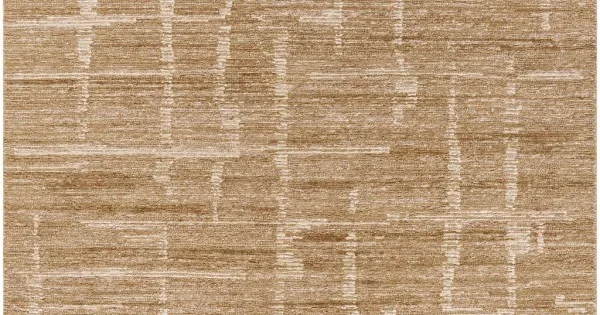 Surya Moab BOMB-2303 8′ x 10′ Rectangle Rug