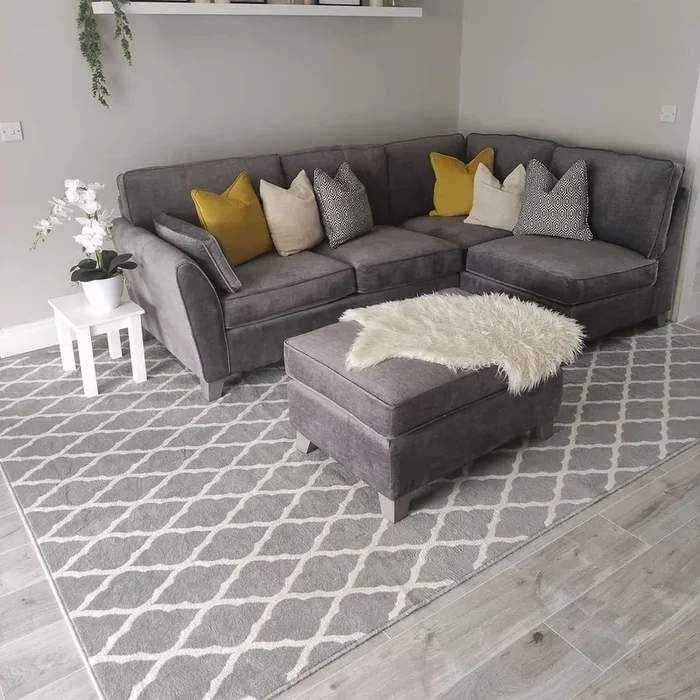Trellis Silver Grey Durable Rug – Milan