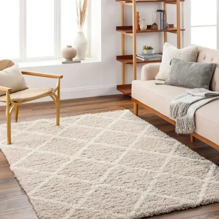 USG JANE 2319 Beige Rug