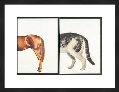 Vintage Visuals Original Photograph, Butts