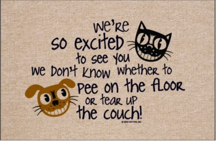 We’re Excited We Pee Olefin Doormat